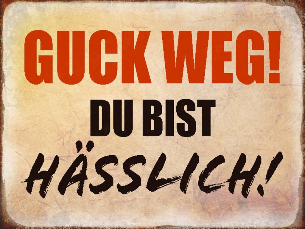 Holzschild 30x40 cm guck weg du bist hässlich Retro