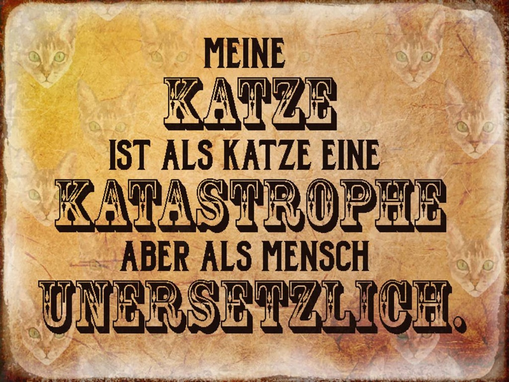 Holzschild 30x40 cm meine Katze ist eine Katastrophe