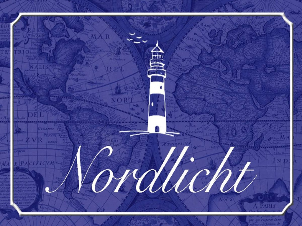 Holzschild 30x40 cm Nordlicht Meer Leuchtturm