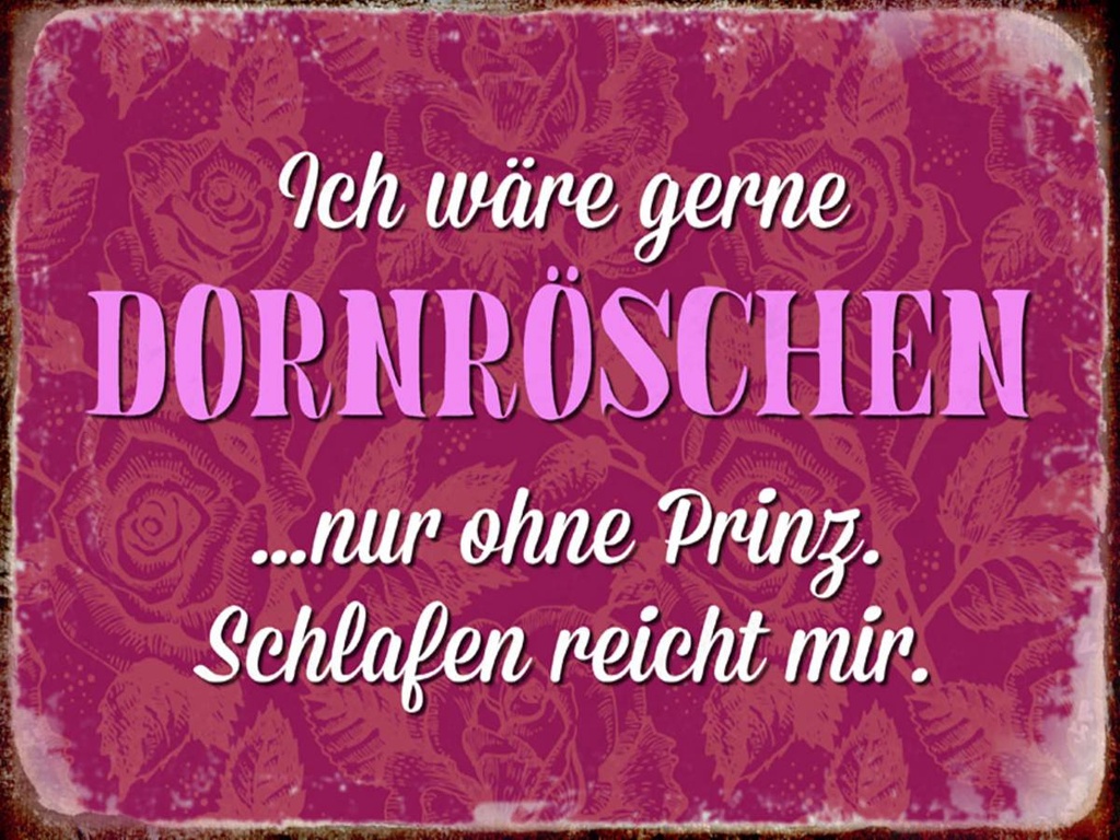 Holzschild 30x40 cm ich gerne Dornröschen ohne Prinz