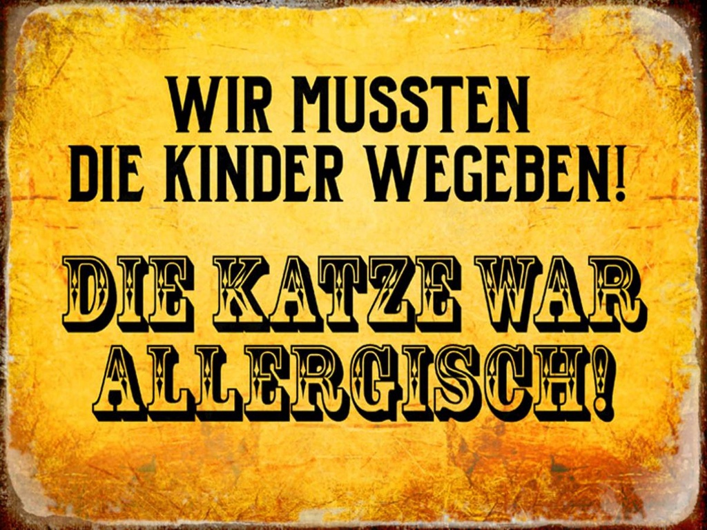 Holzschild 30x40 cm Kinder weggeben Katze allergisch