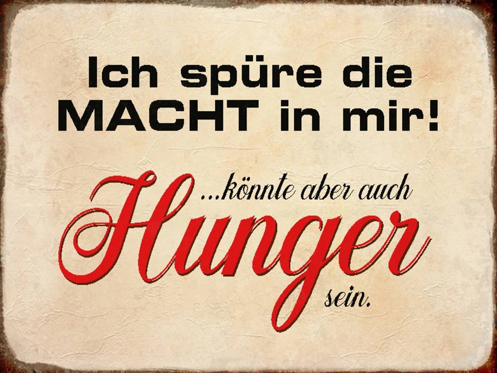 Holzschild 30x40 cm spüre Macht in mir könnte Hunger