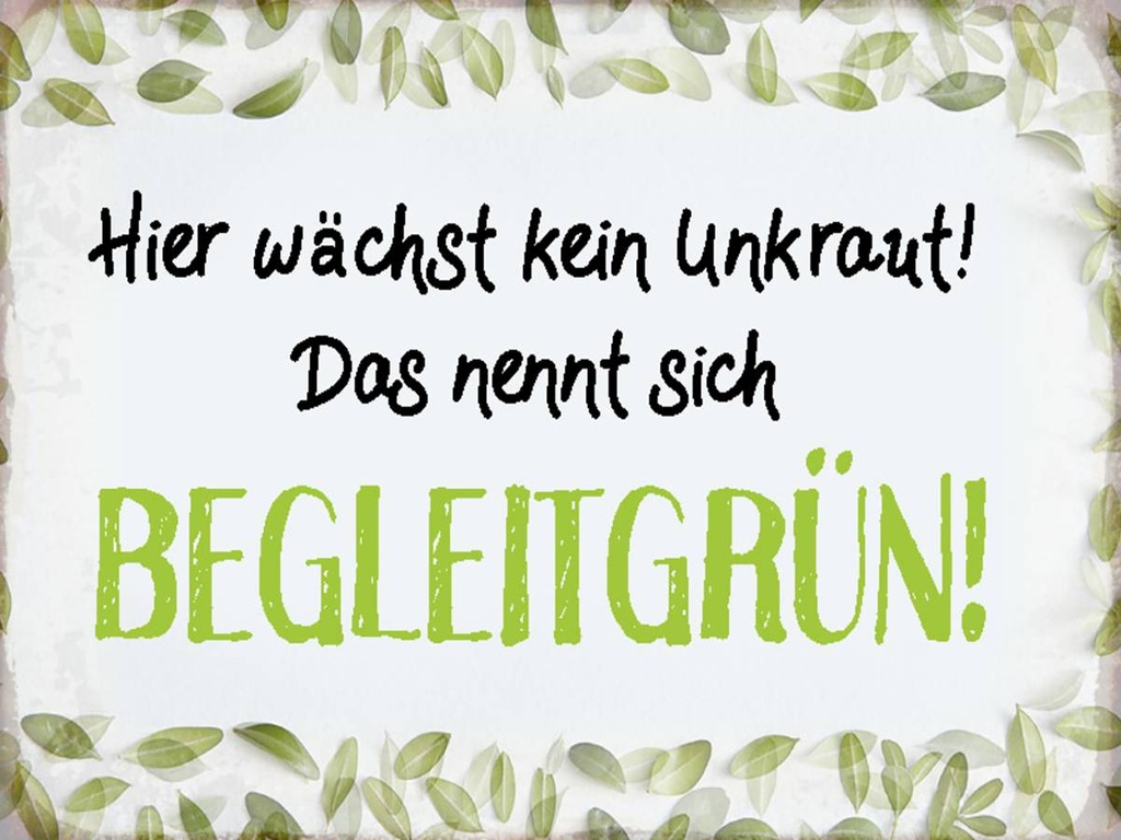 Holzschild 30x40 cm wächst kein Unkraut Begleitgrün