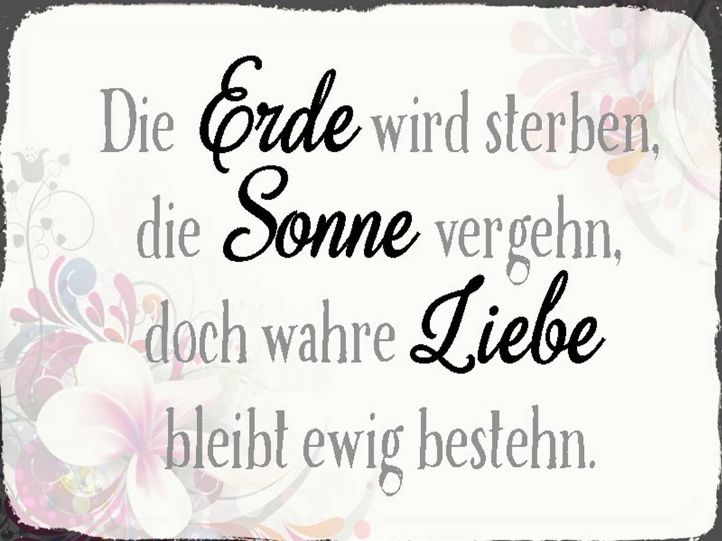 Holzschild 30x40 cm wahre Liebe bleibt ewig bestehn