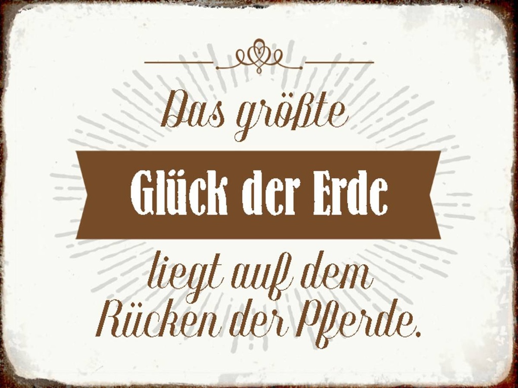 Holzschild 30x40 cm Glück der Erde auf Rücken Pferde