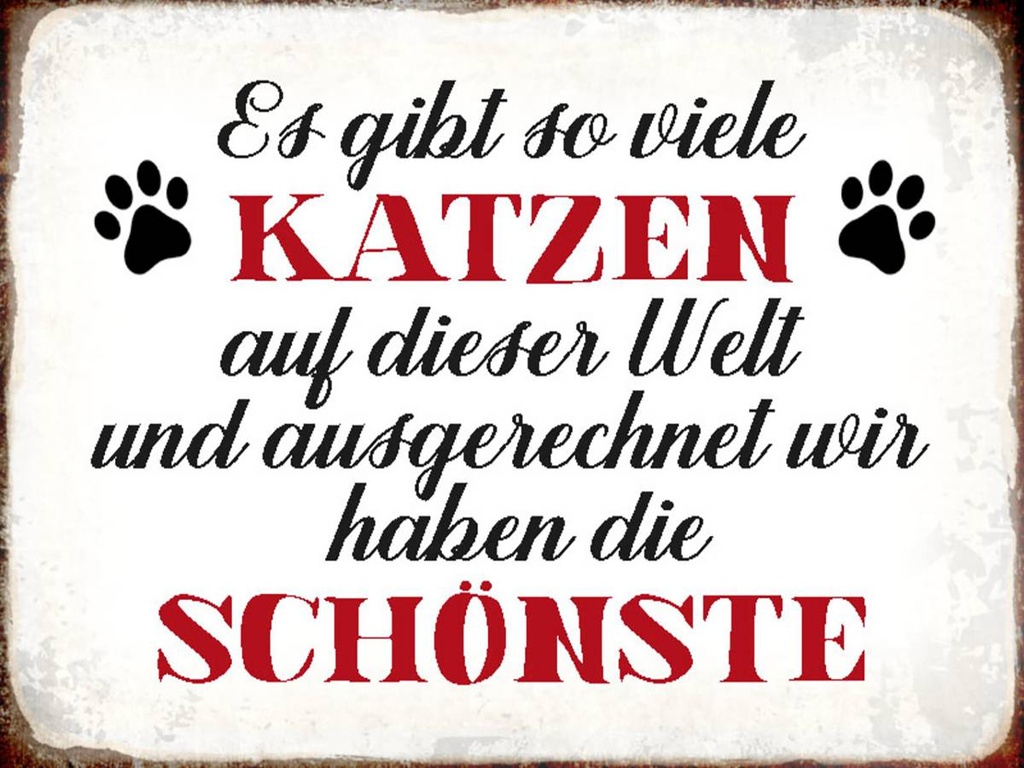 Holzschild 30x40 cm wir haben die schönste Katze