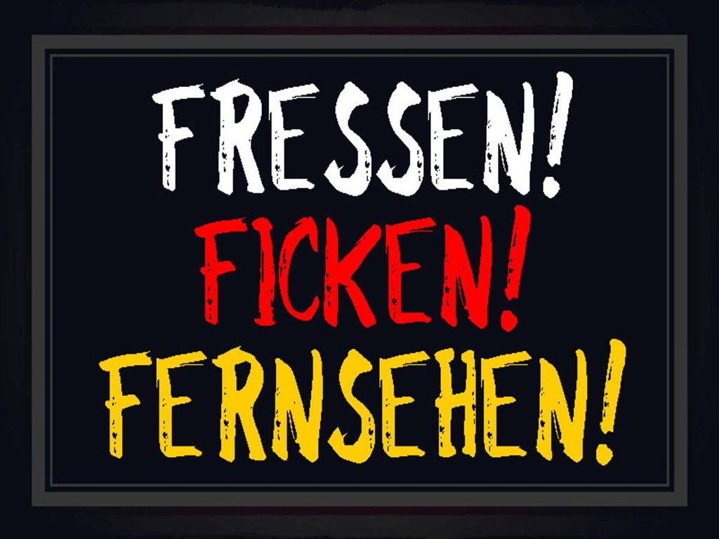 Holzschild 30x40 cm Fressen ficken Fernsehen