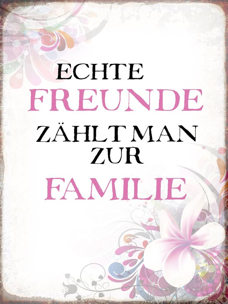 [LA-1790655-H] Holzschild 40x30 cm echte Freunde zählt zur Familie