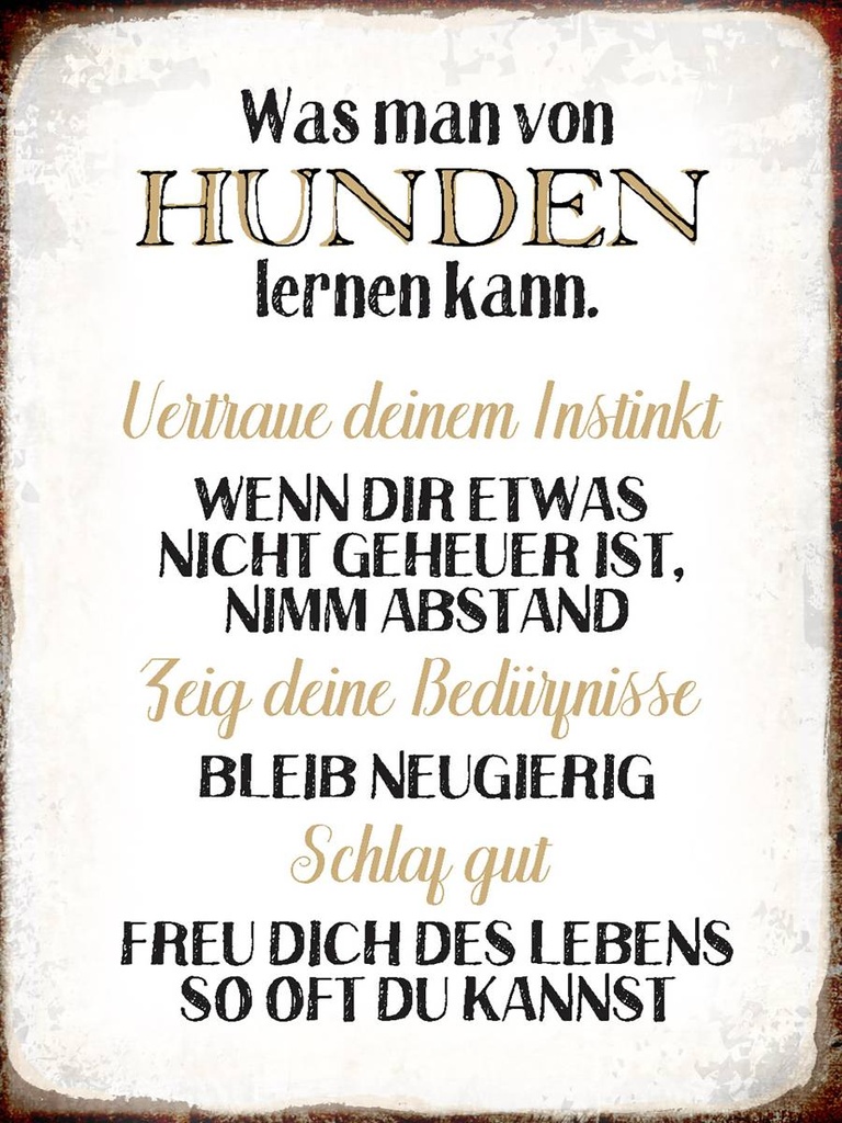 Holzschild 40x30 cm was man von Hunden lernen kann