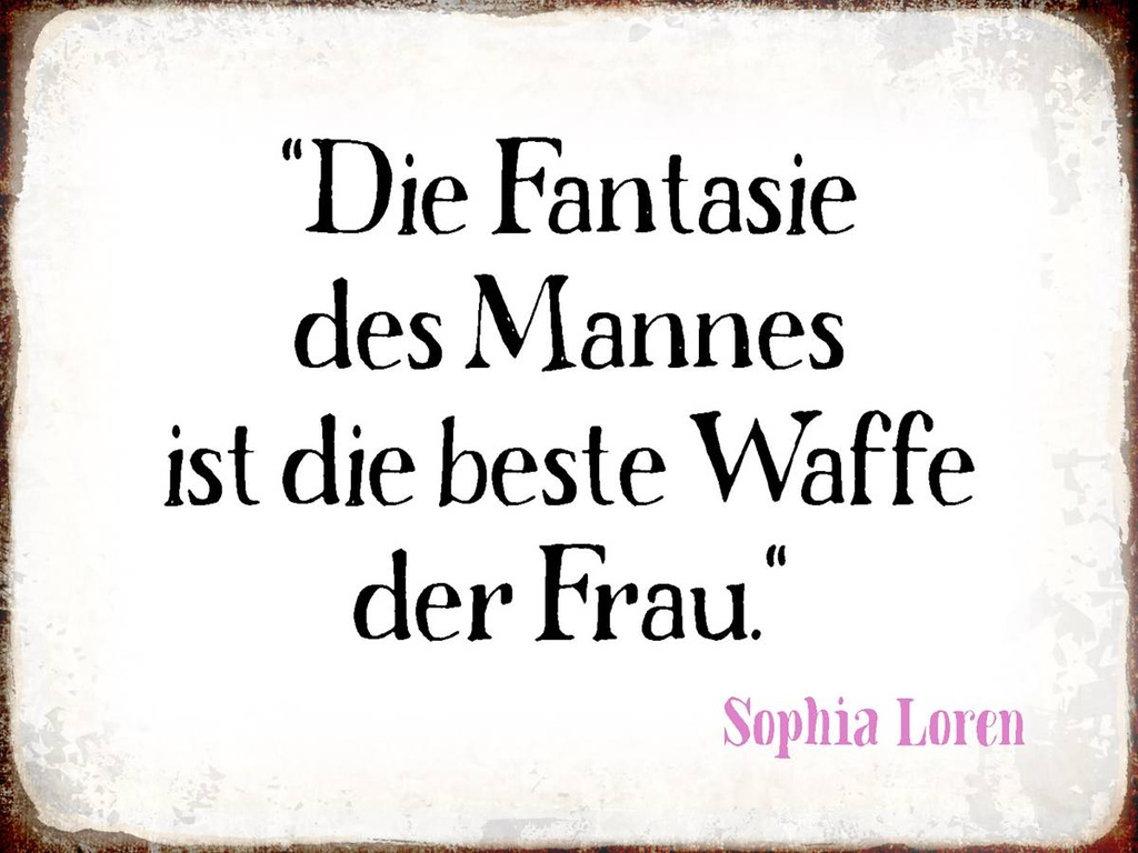 Holzschild 30x40 cm Fantasie des Mannes beste Waffe