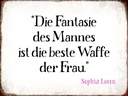 Holzschild 30x40 cm Fantasie des Mannes beste Waffe