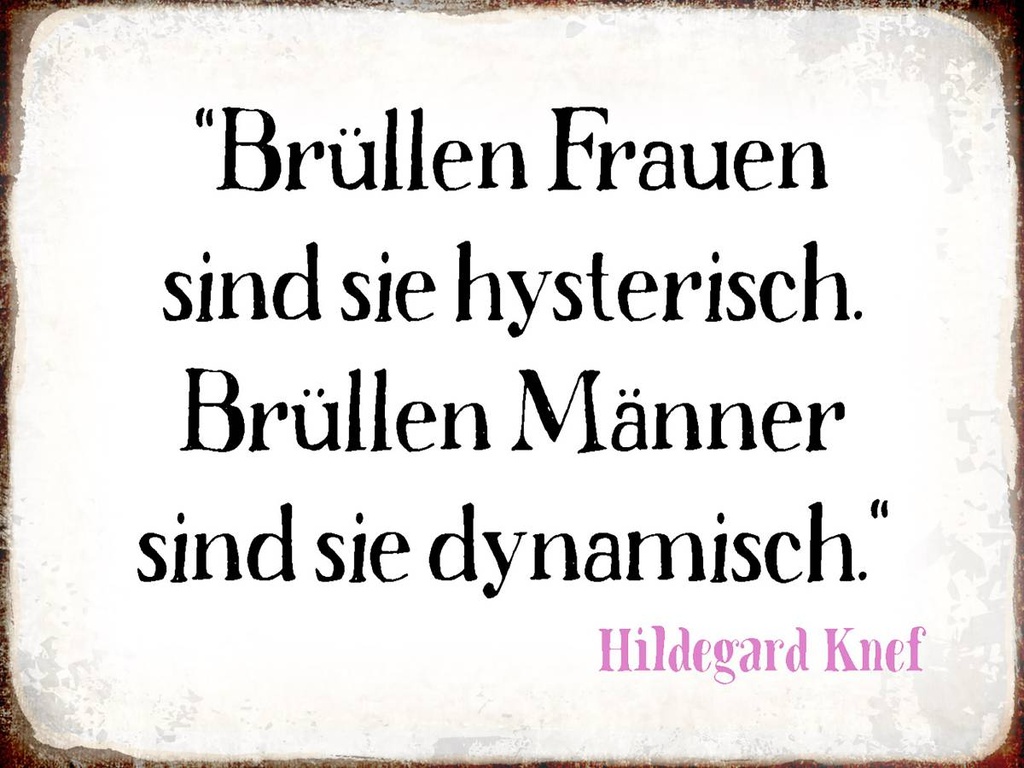 Holzschild 30x40 cm Brüllen Frauen brüllen Männer