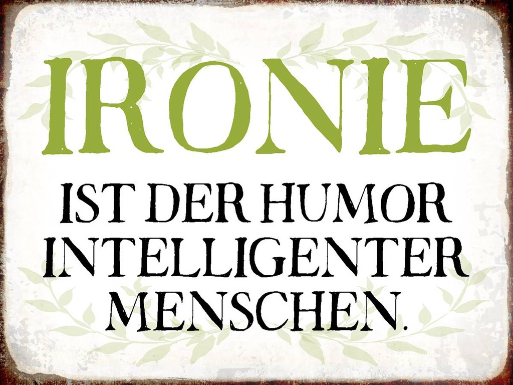 Holzschild 30x40 cm Ironie Humor intelligent