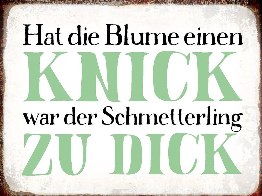 Holzschild 30x40 cm Blume Knick Schmetterling dick