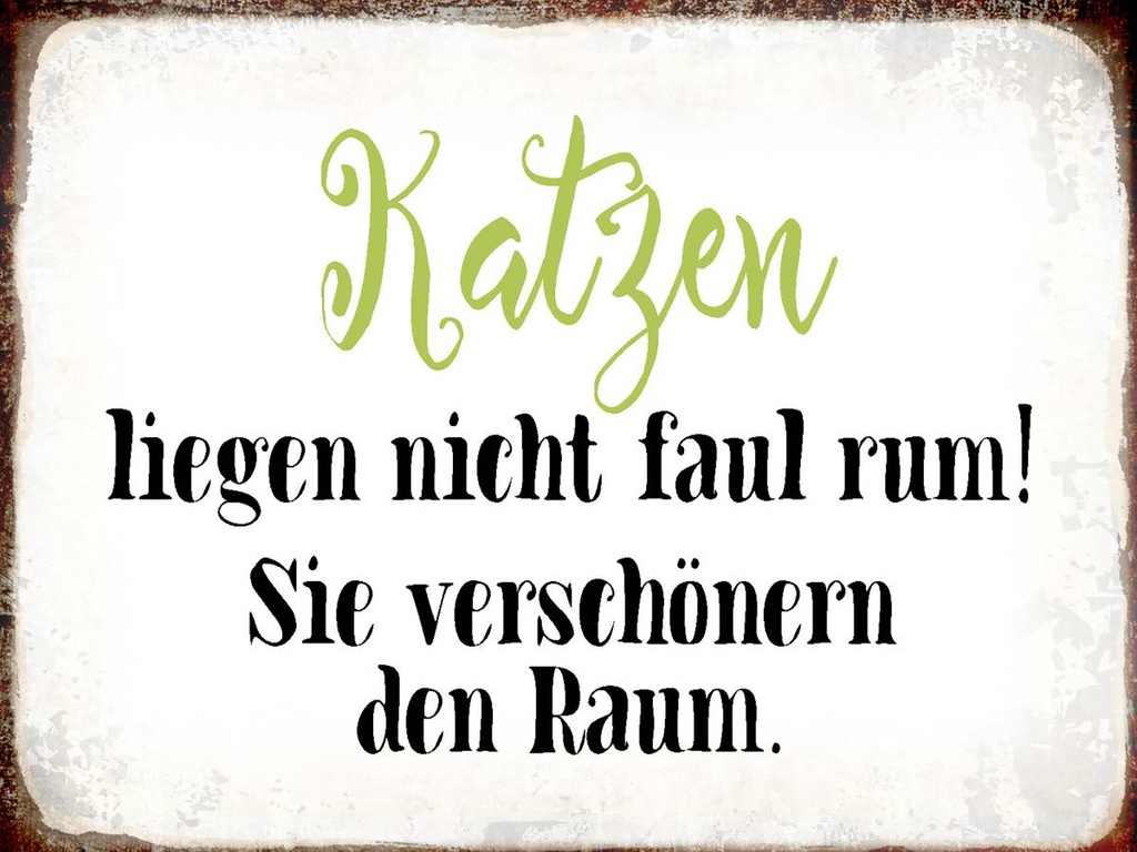 Holzschild 30x40 cm Katzen liegen nicht faul rum