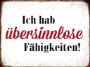 Holzschild 30x40 cm ich hab übersinnlose Fähigkeiten