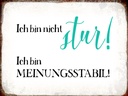 Holzschild 30x40 cm bin nicht stur meinungsstabil