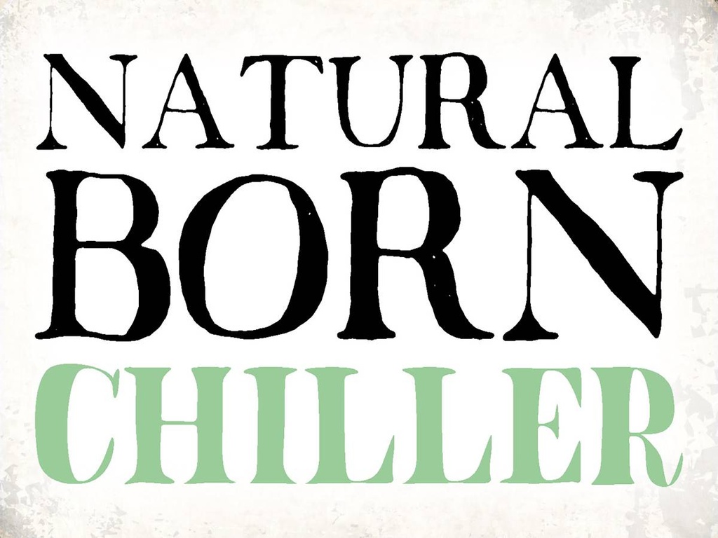 Holzschild 30x40 cm natural born chiller Faultier