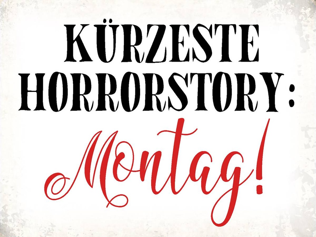[LA-1790835-H] Holzschild 30x40 cm kürzeste Horrorstory Montag