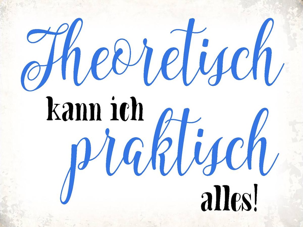 Holzschild 30x40 cm theoretisch kann praktisch alles