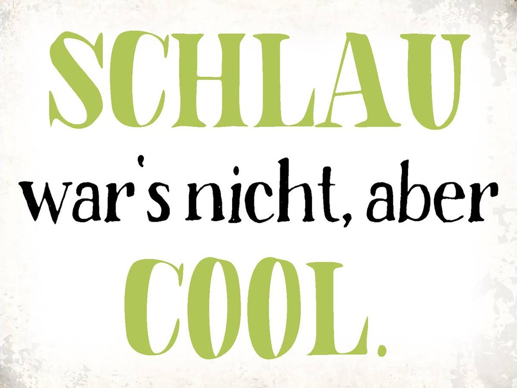 Holzschild 30x40 cm schlau war`s nicht aber cool