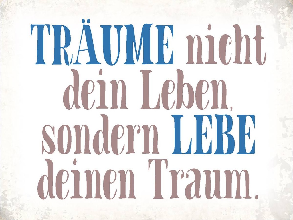 Holzschild 30x40 cm träume nicht dein Leben lebe