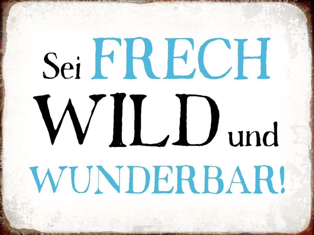 Holzschild 30x40 cm sei frech wild wunderbar Retro