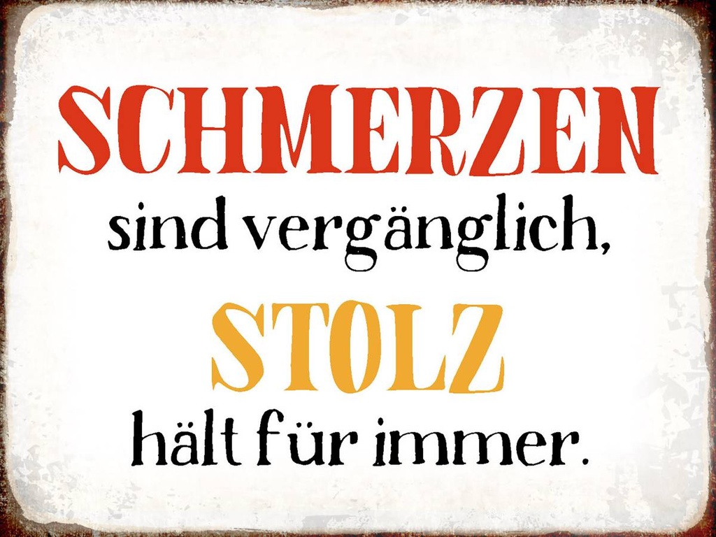 Holzschild 30x40 cm Schmerzen Solz hält für immer