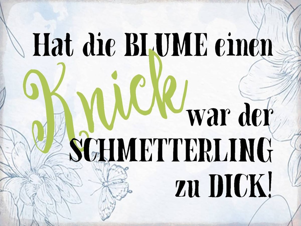 Holzschild 30x40 cm hat Blume Knick Schmetterling