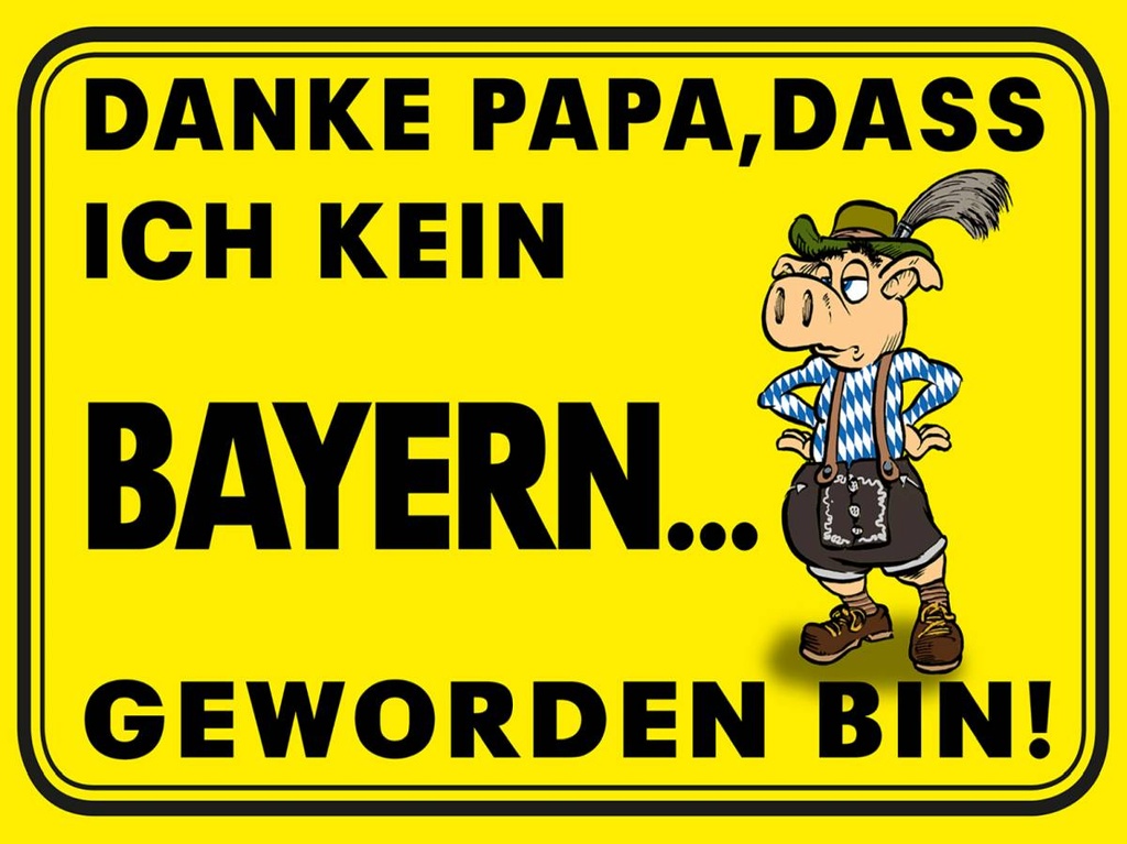 Holzschild 30x40 cm Danke Papa dass ich kein Bayer