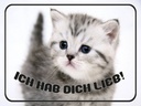 Holzschild 30x40 cm Katze ich hab dich lieb