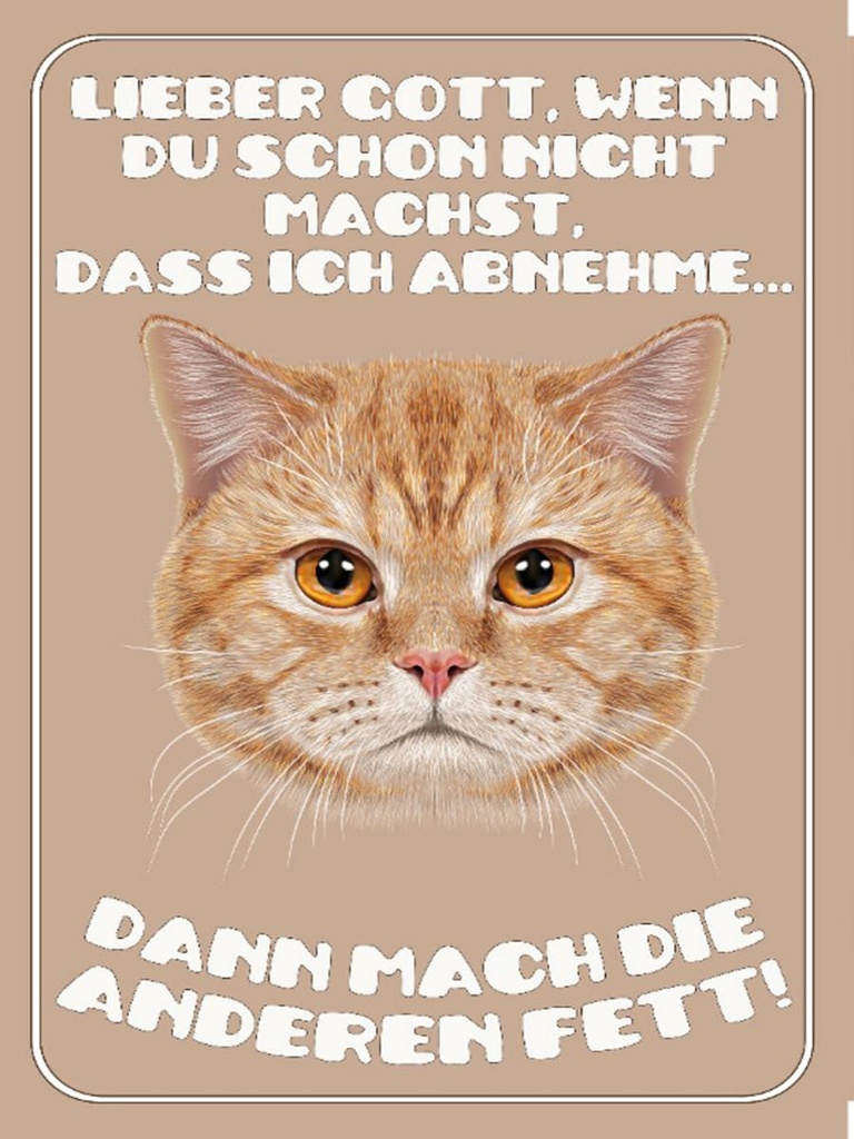Holzschild 40x30 cm Katze lieber Gott wenn du schon nicht