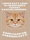 Holzschild 40x30 cm Katze lieber Gott wenn du schon nicht