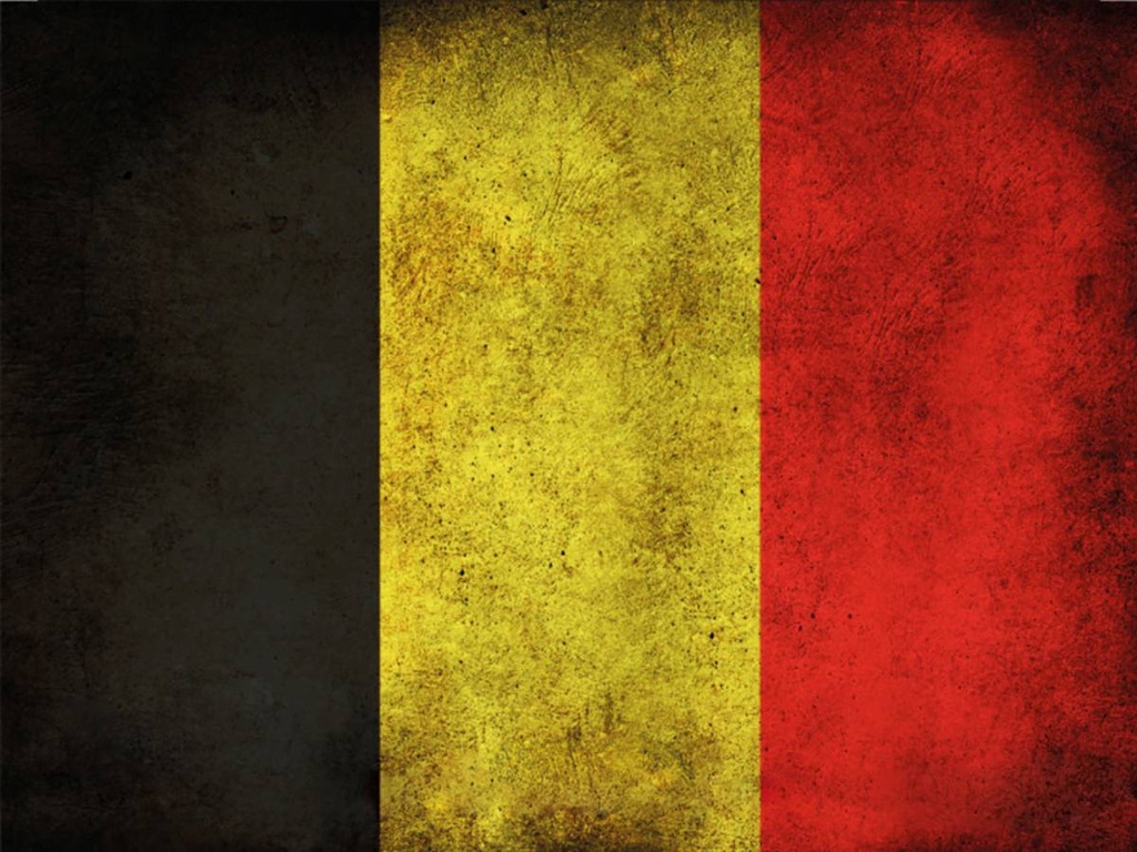 Holzschild 30x40 cm Flagge Belgien Fahne