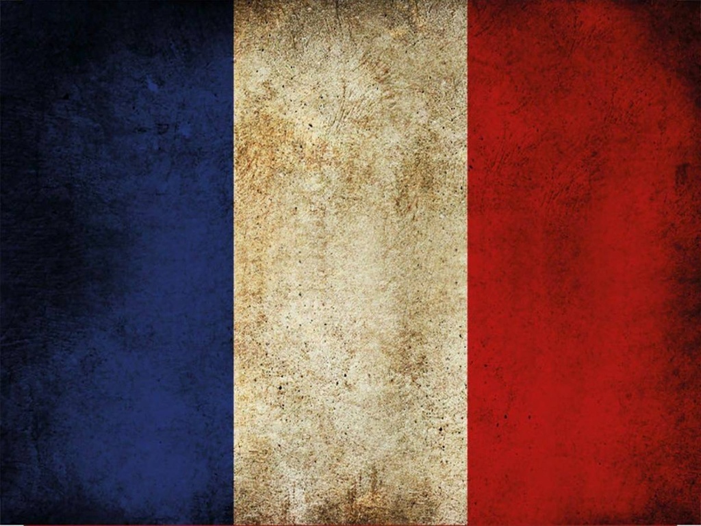 Holzschild 30x40 cm Flagge Frankreich Fahne