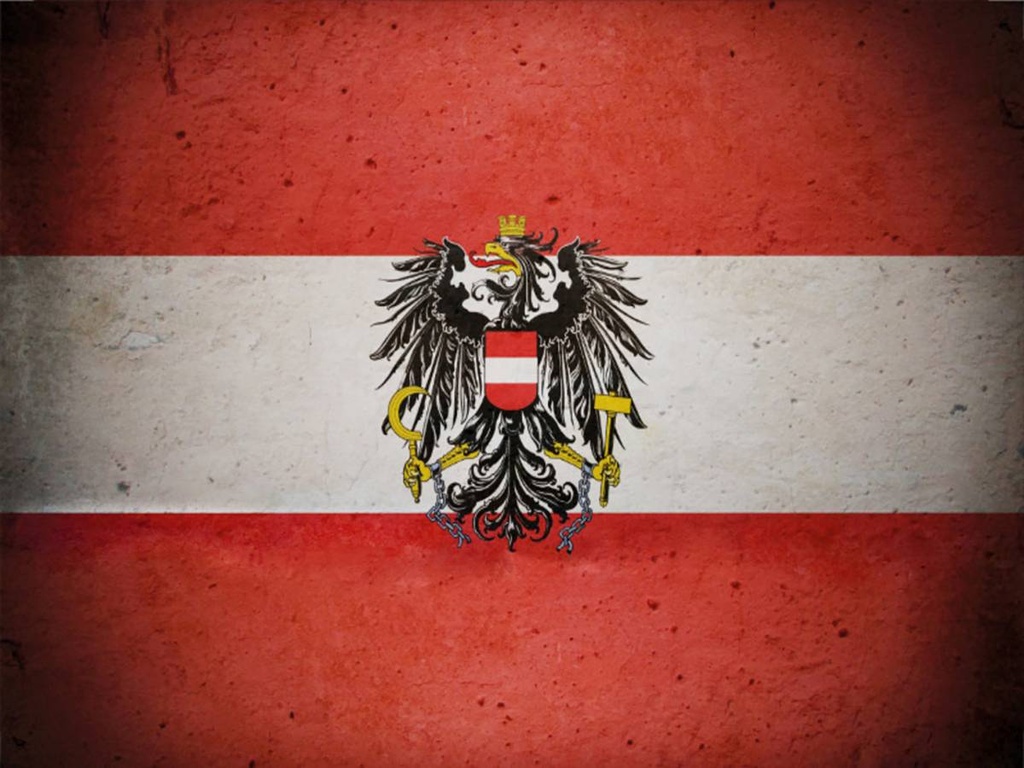 Holzschild 30x40 cm Flagge Österreich Fahne