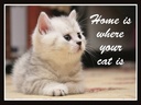 Holzschild 30x40 cm Katze Home is where your cat