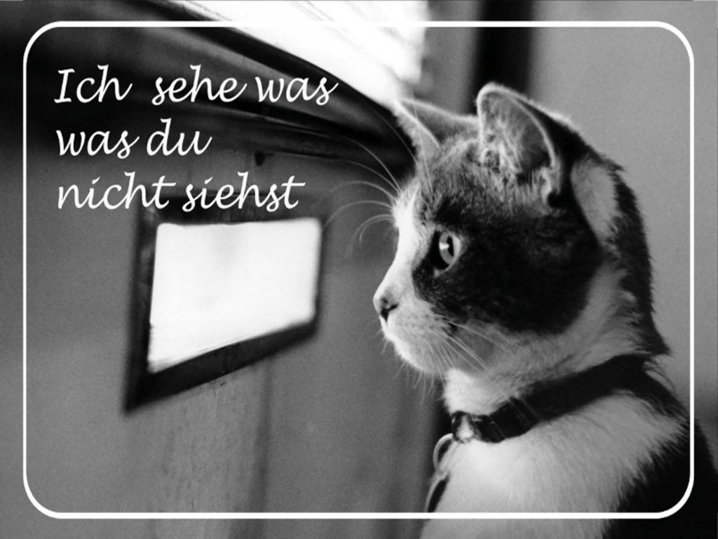 Holzschild 30x40 cm Katze ich sehe was du nicht siehst