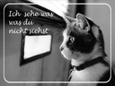 Holzschild 30x40 cm Katze ich sehe was du nicht siehst