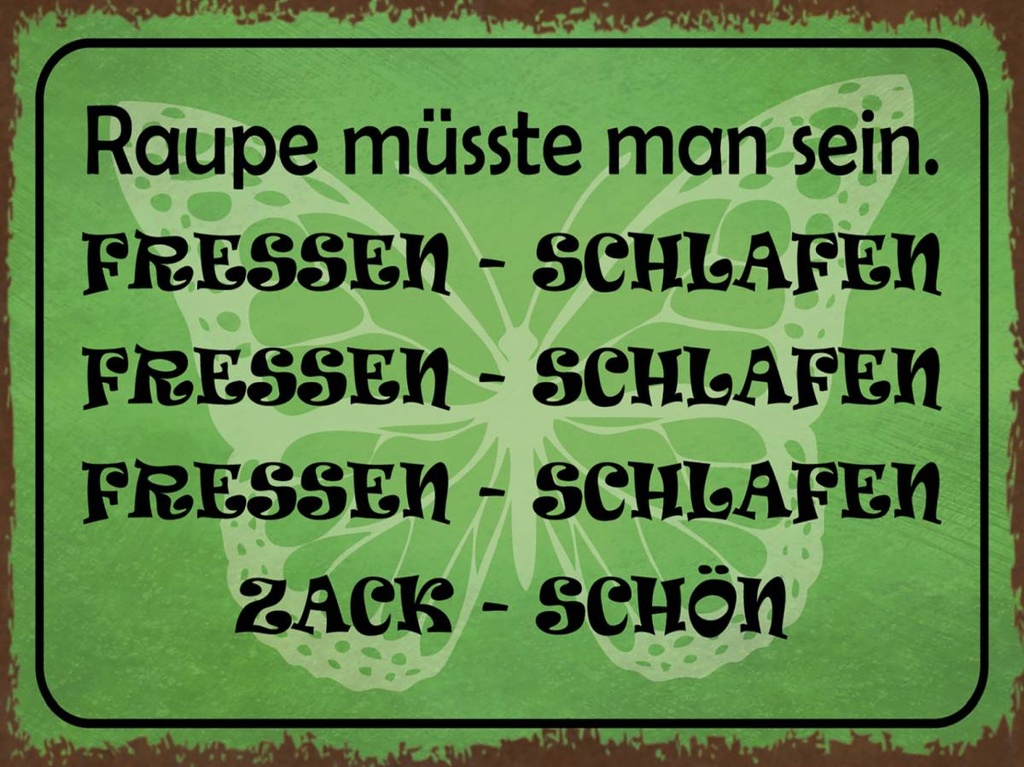 Holzschild 30x40 cm Raupe sein fressen schlafen
