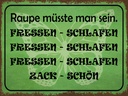 Holzschild 30x40 cm Raupe sein fressen schlafen