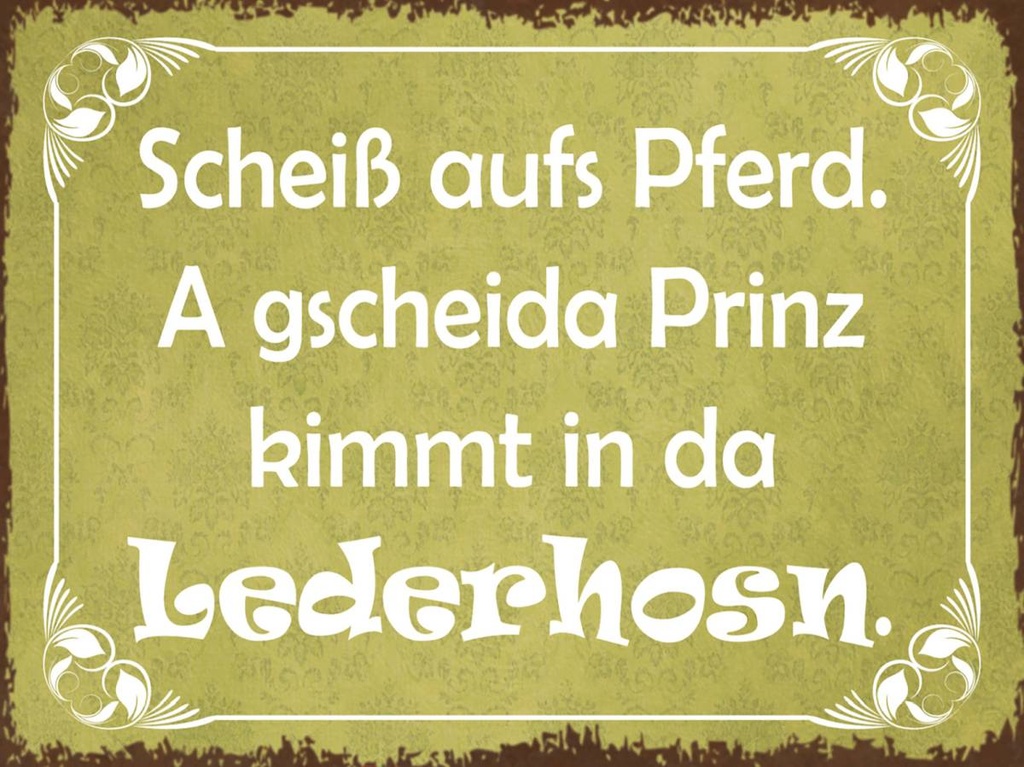 Holzschild 30x40 cm scheiß aufs Pferd Prinz kommt