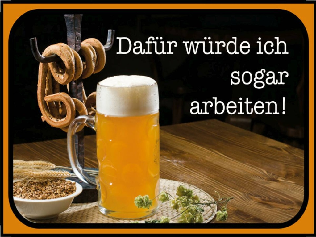 Holzschild 30x40 cm Bier dafür würde ich arbeiten