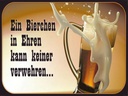 Holzschild 30x40 cm Bierchen Ehren keine verwehren