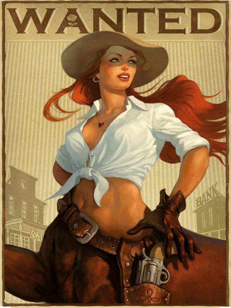 Holzschild 40x30 cm Pinup wanted Cowgirl