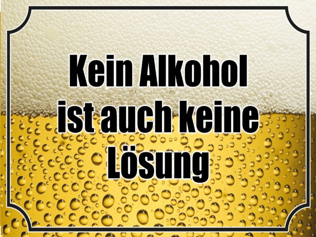 Holzschild 30x40 cm Bier kein Alkohol keine Lösung