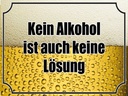 Holzschild 30x40 cm Bier kein Alkohol keine Lösung