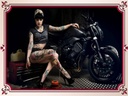 Holzschild 30x40 cm Motorrad Biker Girl Pinup Frau Tattoo Bildmotiv