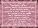 Holzschild 30x40 cm Freundschaft ist wenn Herze