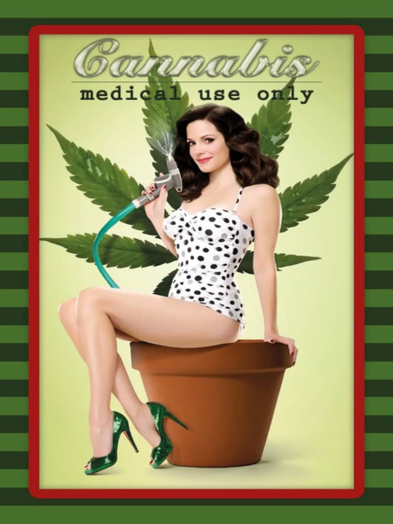 [LA-1791129-H] Holzschild 40x30 cm Pinup Cannabis medical use only